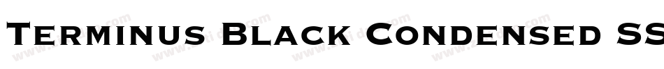Terminus Black Condensed SSi Bold Condensed字体转换